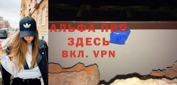 винт Галич